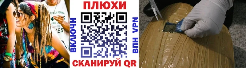 блэк спрут ссылка Новороссийск ГАШ Изолятор
