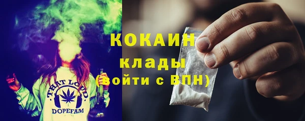 сатива Новодвинск