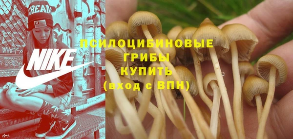 кристаллы Алзамай