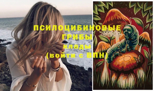 дурь Нефтегорск
