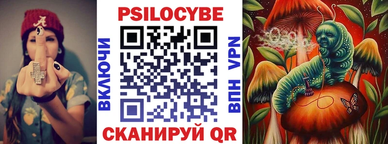 Псилоцибиновые грибы Psilocybine cubensis  как найти закладки  Новороссийск 